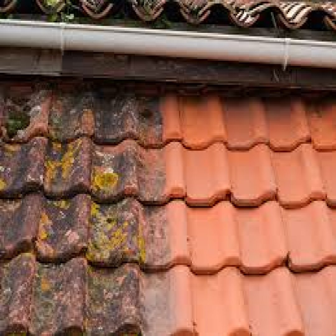 démoussage de toiture en tuiles avec NOMSOCIETE